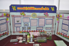 ประกวดโครงงาน_ห้างพันธ์ทิพ_บางกะปิ_(470)